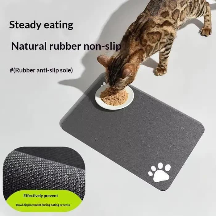 Tapis absorbant en boue de diatomées pour animaux de compagnie