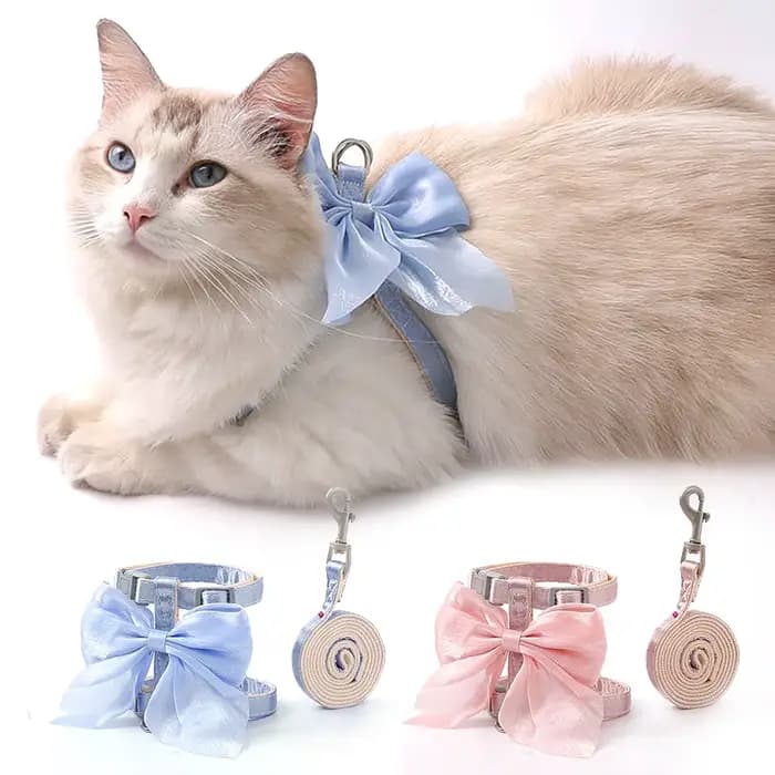 Ensemble Harnais et Laisse pour Chat avec Grand Nœud