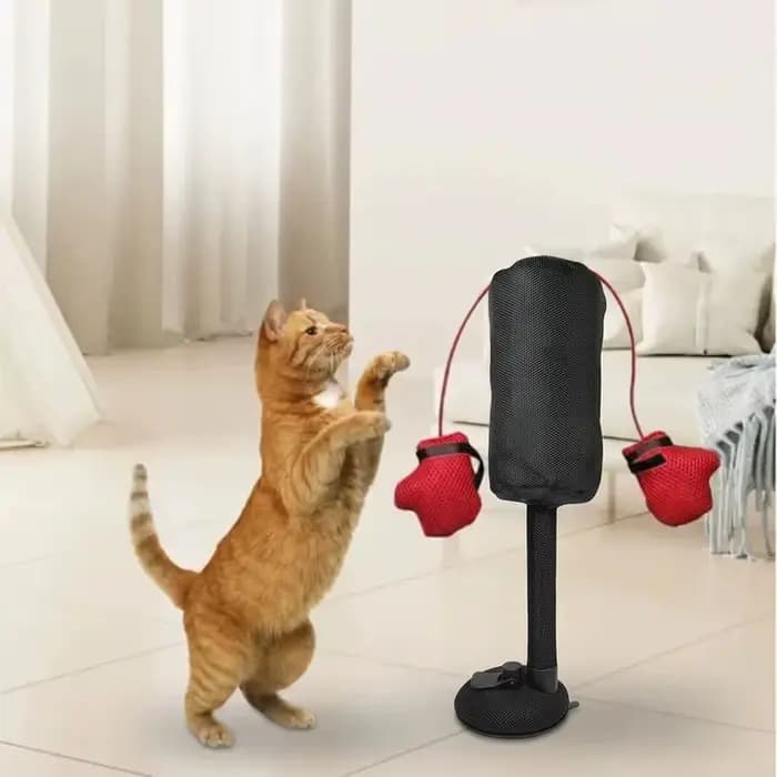 Sac de frappe pour chat de compagnie en forme de dessin animé avec gants de boxe et ventouse