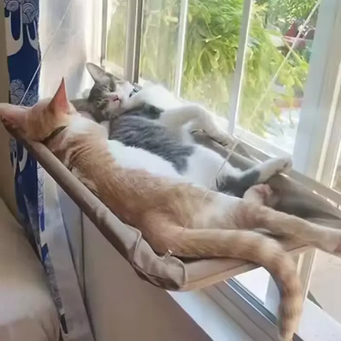 Hamac suspendu avec fenêtre pour chat