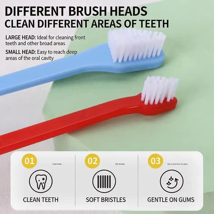 Brosse à dents pour chat et chien avec manche long pour un nettoyage en profondeur