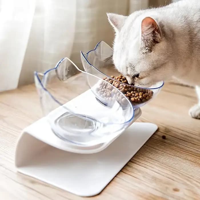 Bol Double antidérapant pour chat