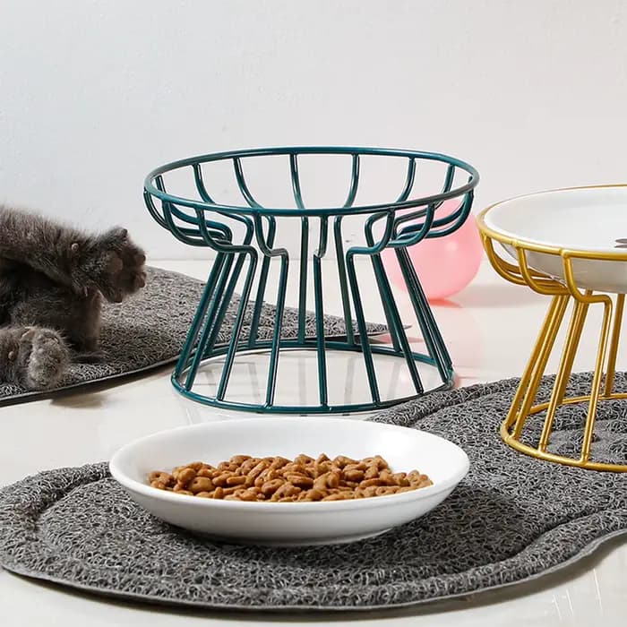 Bols en céramique surélevés et larges pour chats