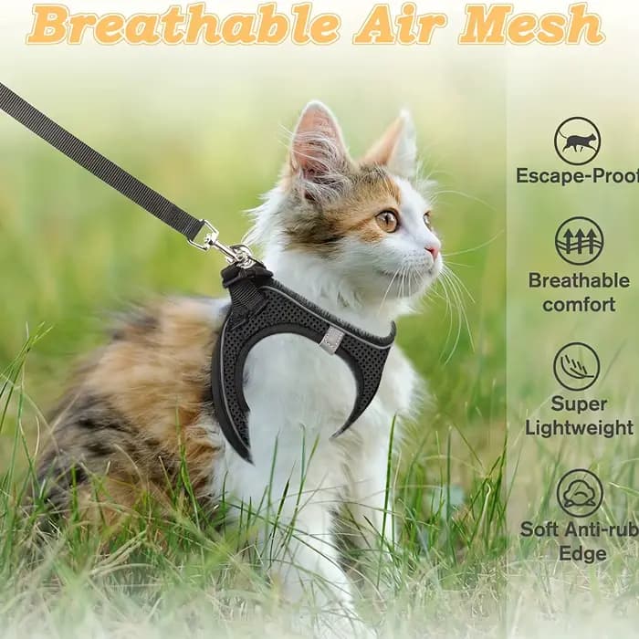 Ensemble de harnais anti-fuite pour chat : laisse de sécurité extérieure en maille souple réfléchissante