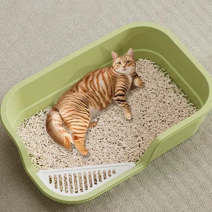 Bac à litière semi-fermé pour chat