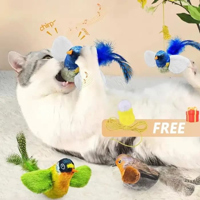 Jouet interactif d'intérieur pour chat