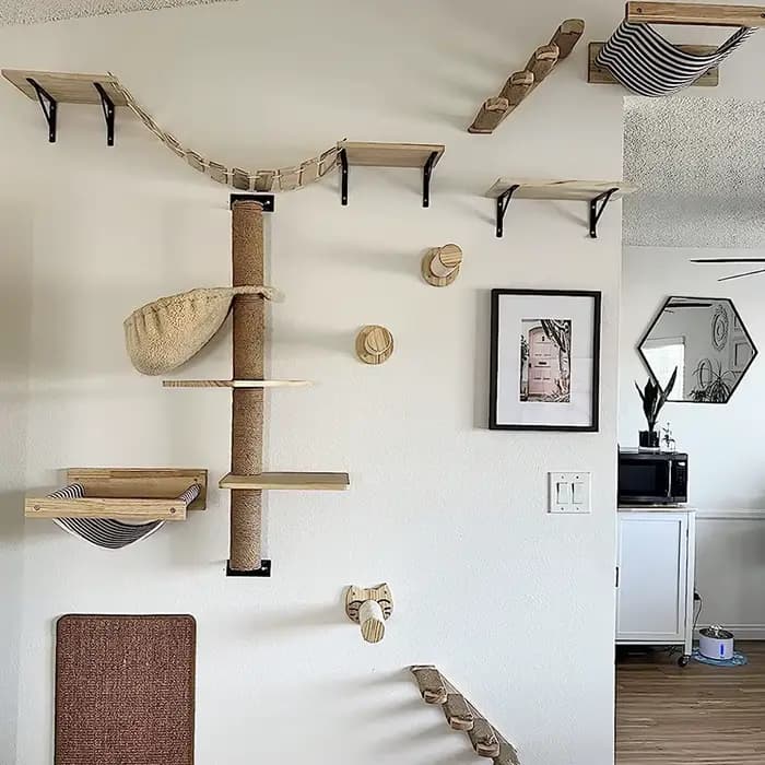 Étagère d'escalade murale pour chat