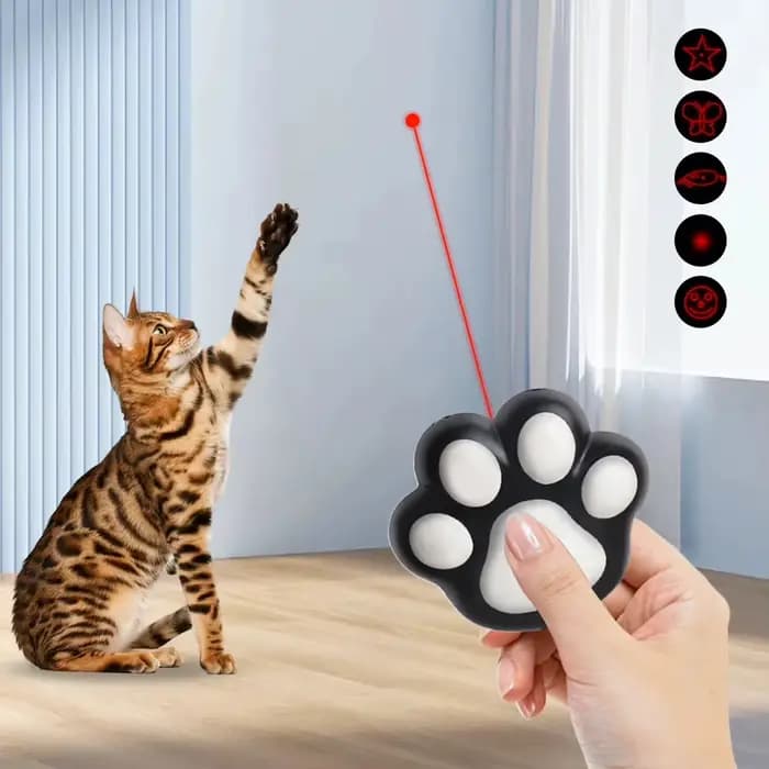 Fun laser PET Toy rechargeable 5 modèles réglables pour PET Dog Cat interactive kitten Training Chasing Cat accessoires pour animaux de compagnie