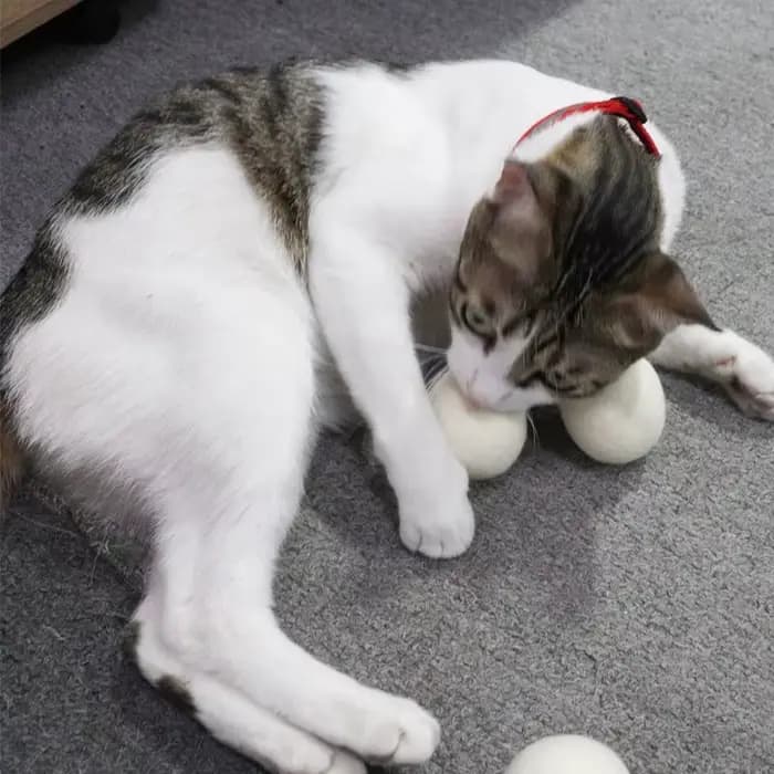 Lot de 3 jouets pour chat en laine