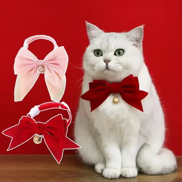 Collier pour animaux de compagnie exquis
