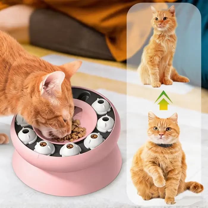 Distributeur de nourriture interactif pour chat