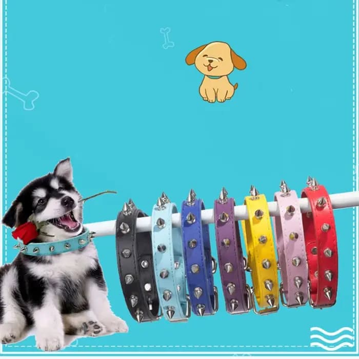 Collier en cuir confortable pour chien et chat