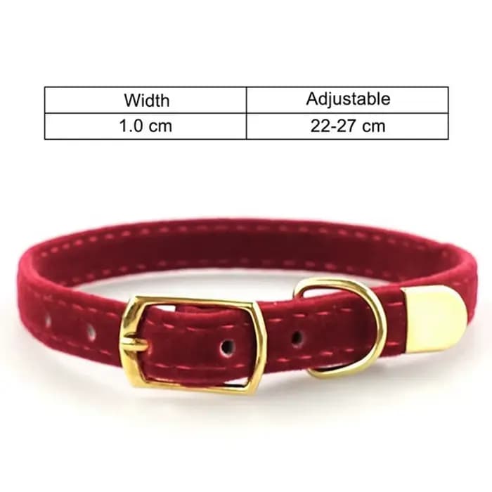 Collier de sécurité pour chat