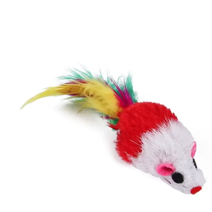 Jouets pour chaton, paquet varié