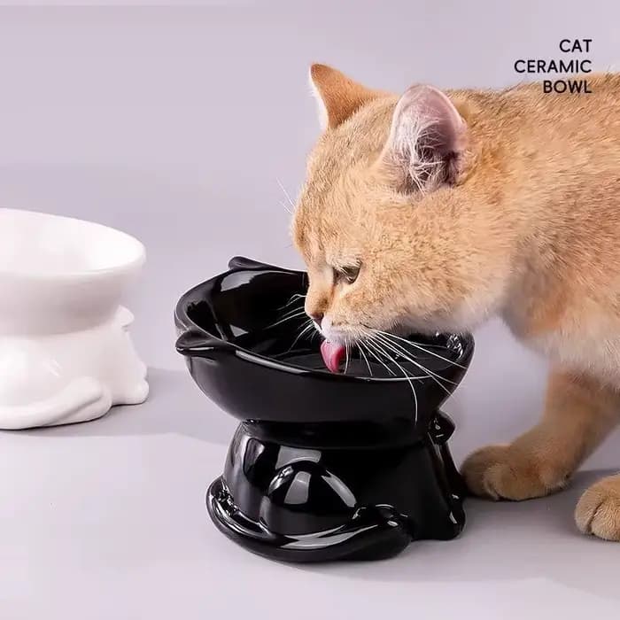 Gamelle surélevée pour chat