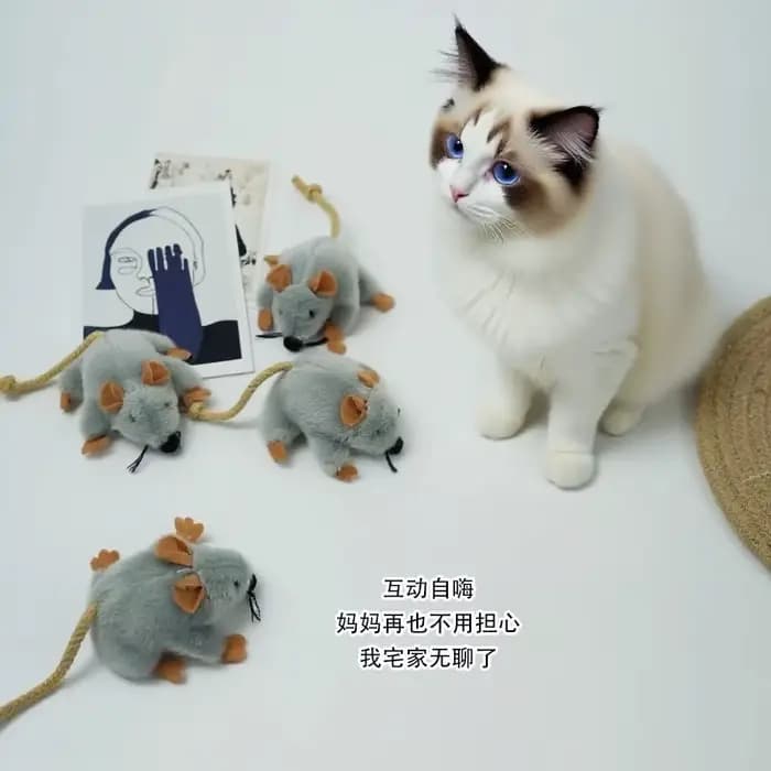 Jouets pour chats, souris en peluche mignonnes, jouets interactifs pour chats, accessoires pour chatons, herbe à chat