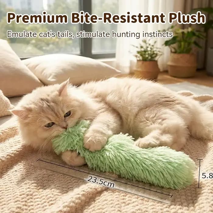 Lot de 3 jouets pour chat : coussinets à herbe à chat