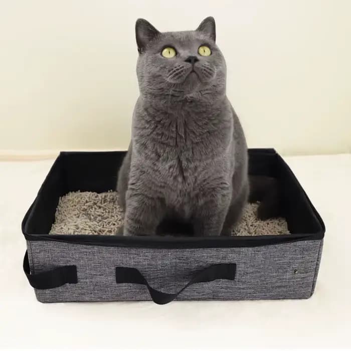Kit de litière de voyage pour chat avec couvercle