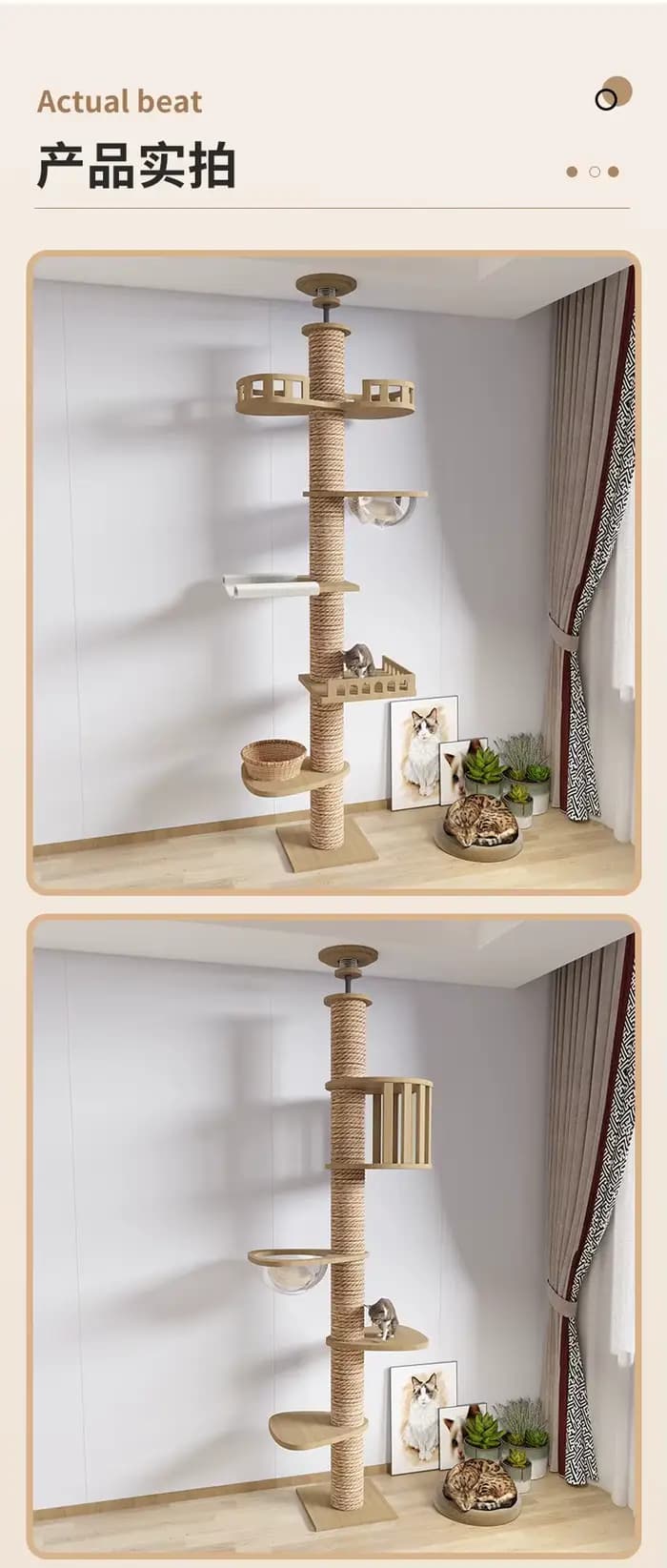 Arbre à chat du sol au plafond avec griffoir