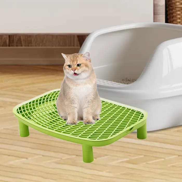 Rampe à litière pour chat