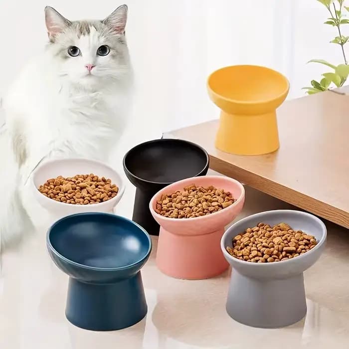 Bol en céramique pour chat, bol surélevé pour animaux de compagnie avec protection du cou, bol anti-étouffement pour chien, accessoires pour chat, fournitures pour animaux de compagnie