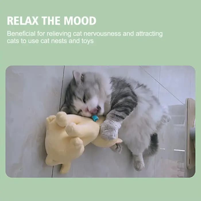 Vaporisateur de joie de chat à base de plantes pour animaux de compagnie