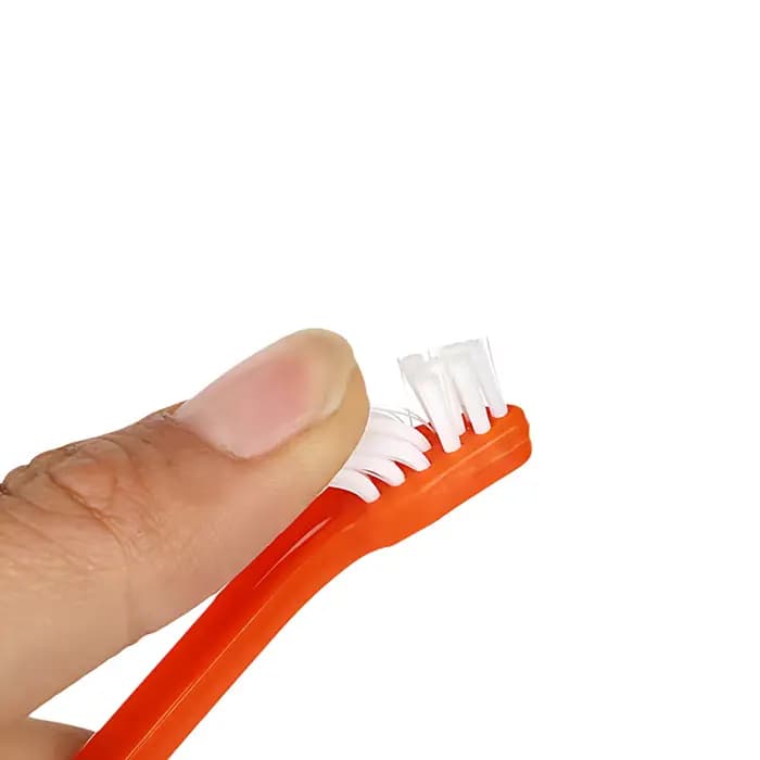 Brosse à dents pour animaux de compagnie
