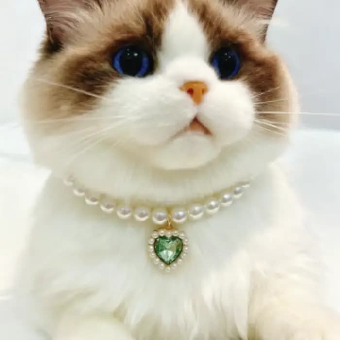 Collier de chat réglable et mignon, avec perles de haute Simulation, pour chatons, collier pour animaux de compagnie, décoration de cou, fournitures pour animaux de compagnie