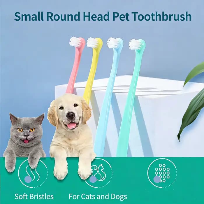 Brosse à dents pour animaux de compagnie