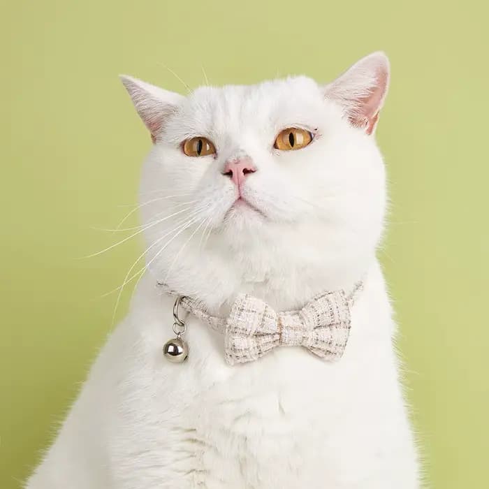 Colliers pour chats Sucado à dégagement rapide avec joli nœud et clochette