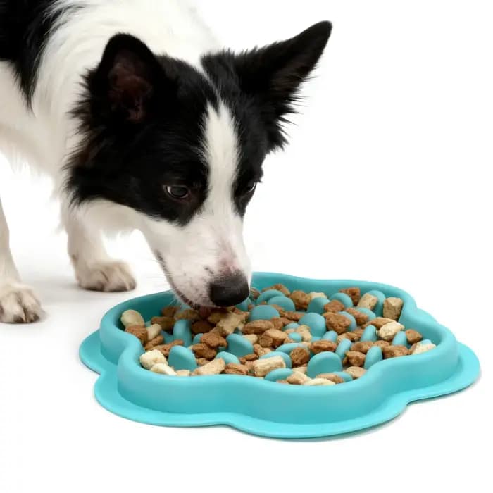 Bol de glouton pour chat et chien