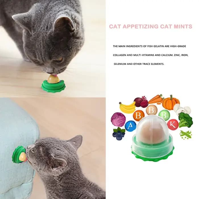 Bonbons à lécher l'herbe à chat pour chaton