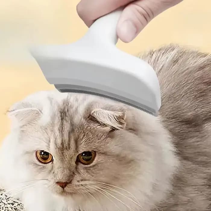 Brosse démêlante pour chiens et chats