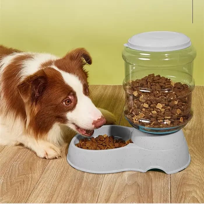Mangeoires automatiques pour animaux de compagnie