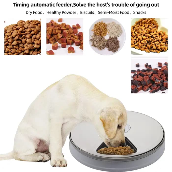 Distributeur automatique de nourriture pour animaux de compagnie