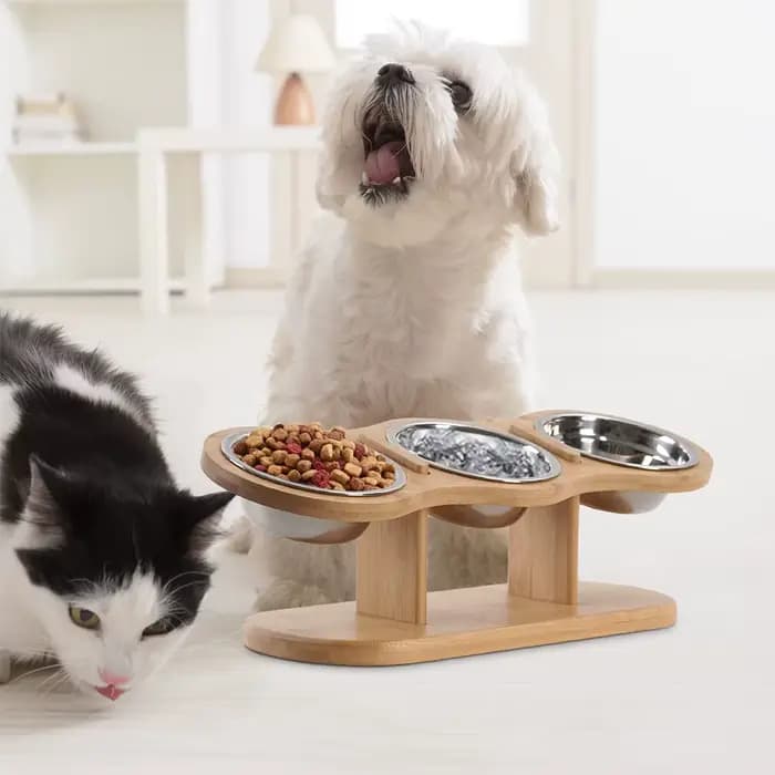 Mangeoire pour chat surélevée 3 bols en 1 fournitures d'alimentation et d'arrosage 15 ° Puppy surélevé 3