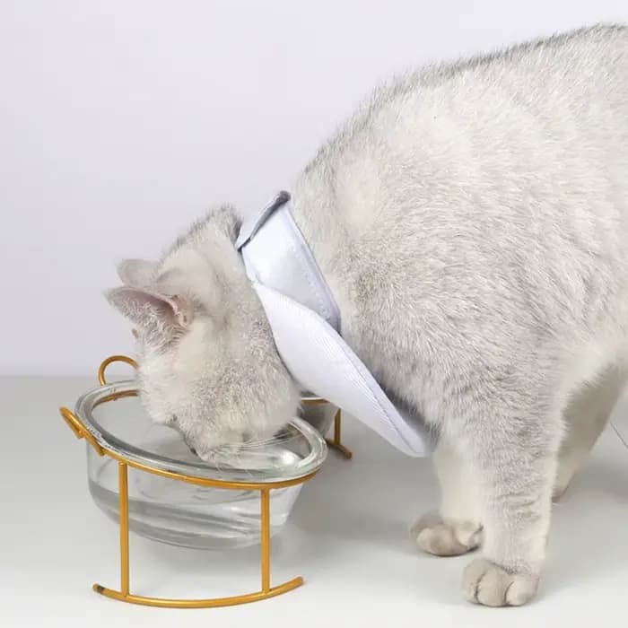 Collier de récupération pratique double face pour chat