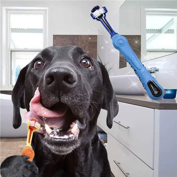 Chien chat brosse mauvaise haleine soins dentaires pour animaux de compagnie