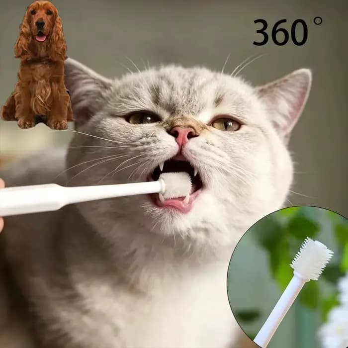 360 ° Brosse à dents pour animaux de compagnie