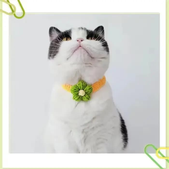 Collier en laine réglable en Crochet pour chien et chat