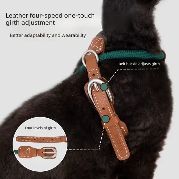 Ensemble Harnais et Laisse pour Chat en Cuir 4 Vitesses
