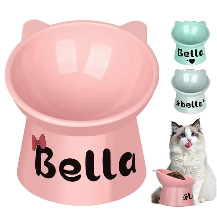 Bol de nourriture personnalisé pour chat, pied haut, pour chien et chat, impression gratuite, nom d'animal de compagnie, bols d'eau, tasse d'alimentation pour animaux de compagnie, accessoires pour ch
