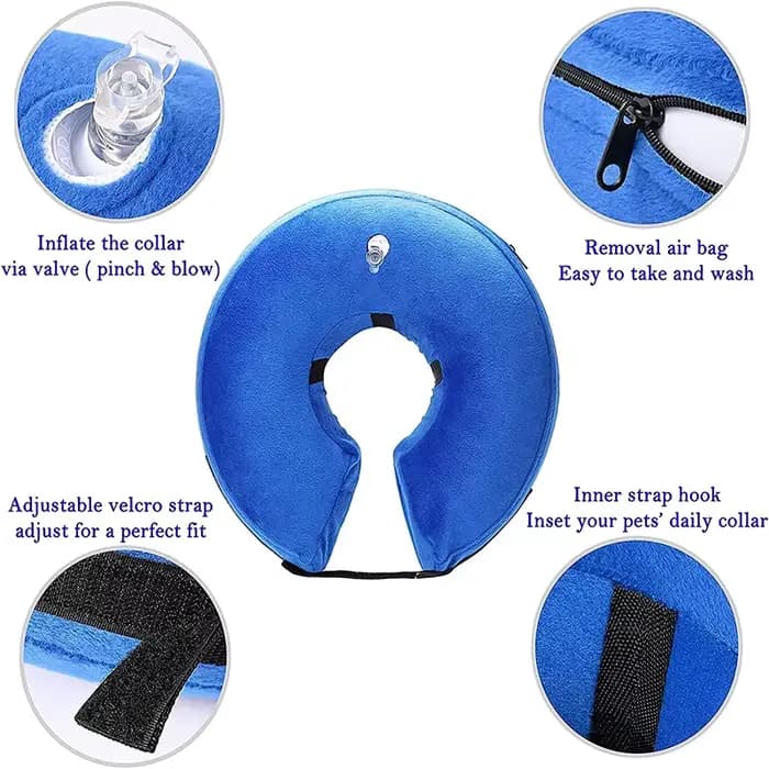 Collier de protection gonflable pour chien et chat