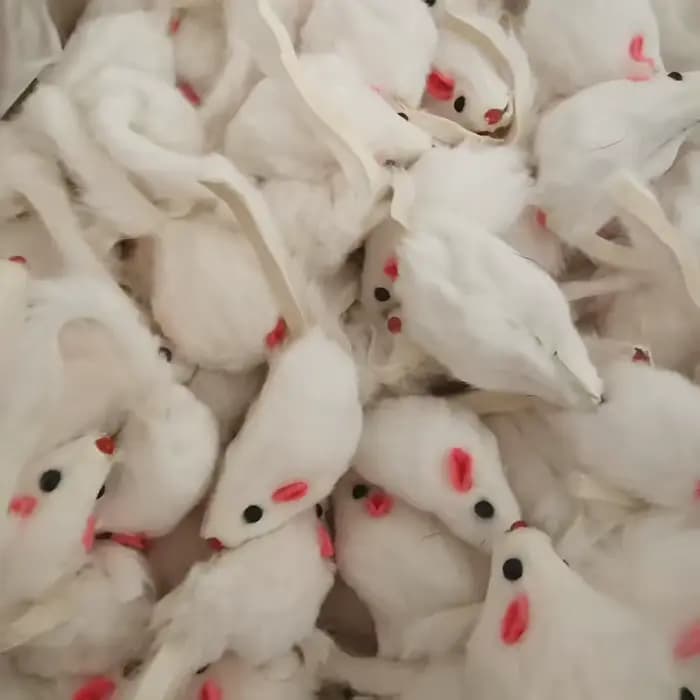 100 PC/Lot fourrure de lapin chat souris jouets animal de compagnie chaton jouant
