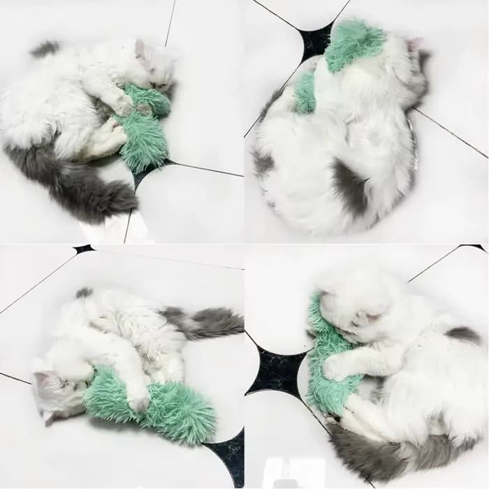 Peluche pour chat, coussin en velours PV chaud pour l'hiver