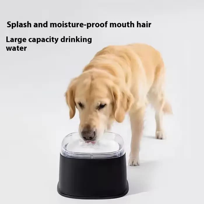 Bol d'eau flottant anti-déversement pour chats et chiens