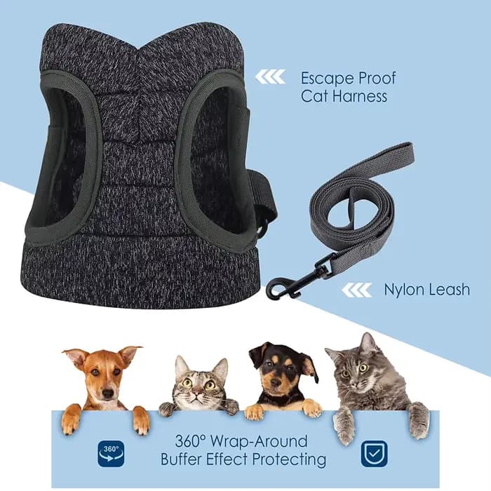 Harnais et laisse pour chat