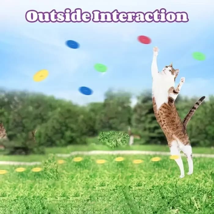 Jouet pour chien et chat avec jeu de disques volants colorés, lanceur de pistolet jouet pour animaux de compagnie, jouets interactifs pour chaton, entraînement intérieur et extérieur