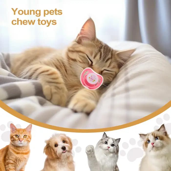 Sucettes pour chatons, 4 pièces