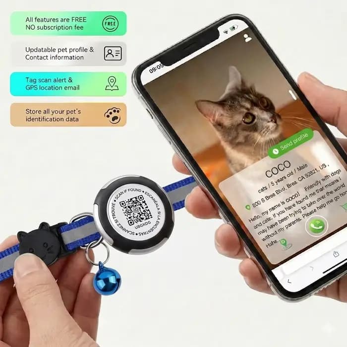 Collier pour chat avec support AirTag et code QR pour le nom de l'animal